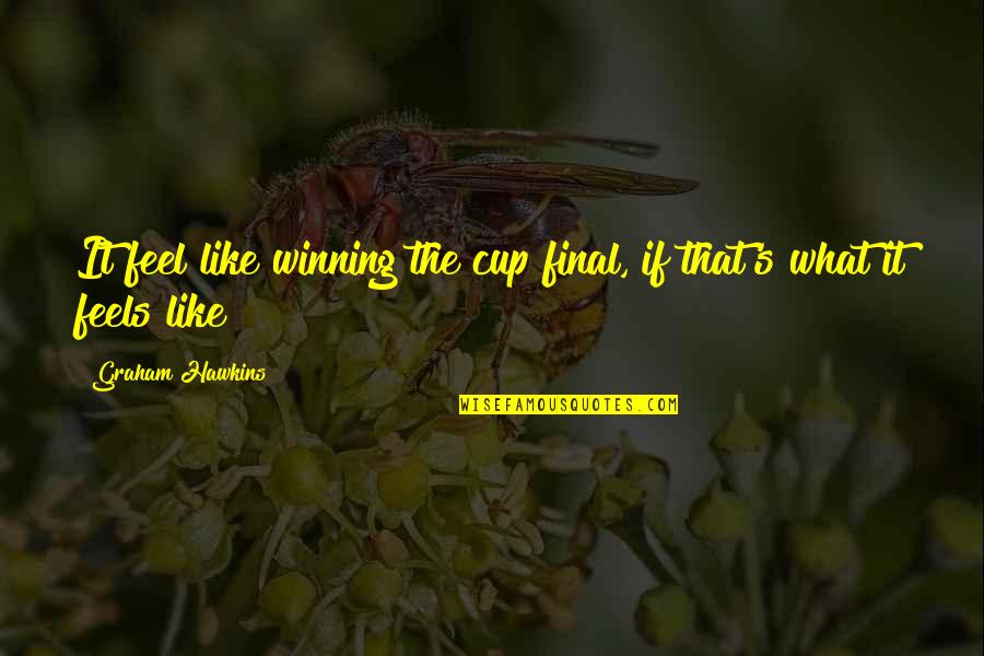Describe Yourself Your Personality Quotes By Graham Hawkins: It feel like winning the cup final, if Describe Yourself Your Personality Quotes By Graham Hawkins: It feel like winning the cup final, if