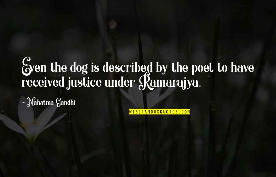 Described Quotes By Mahatma Gandhi: Even the dog is described by the poet