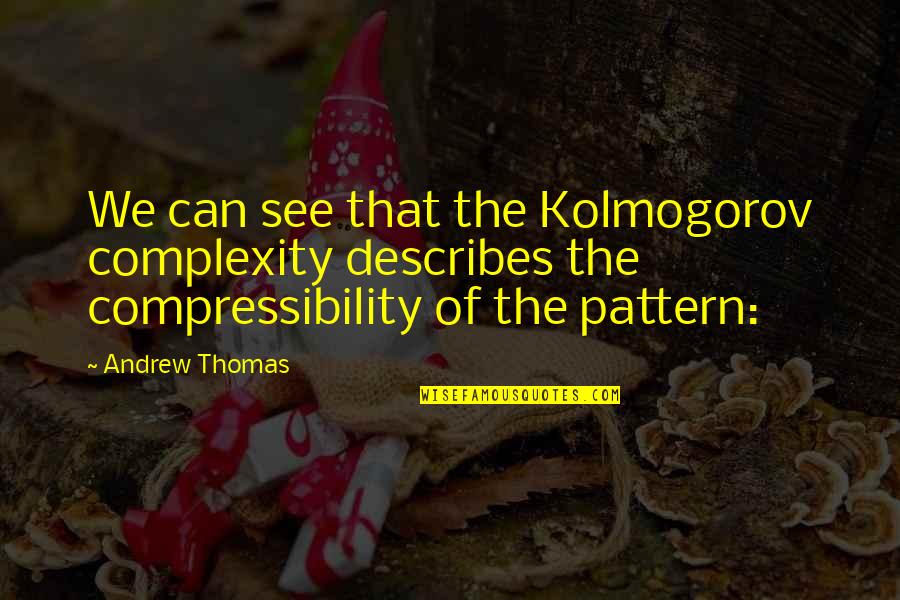 Describes Quotes By Andrew Thomas: We can see that the Kolmogorov complexity describes