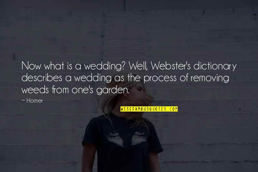 Describes Quotes By Homer: Now what is a wedding? Well, Webster's dictionary