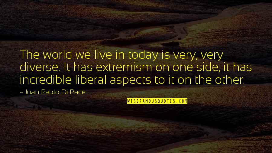 Describing Someone Quotes By Juan Pablo Di Pace: The world we live in today is very,