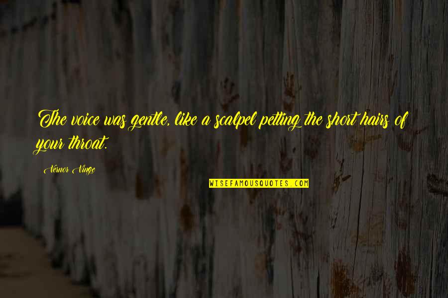 Descripcion Fisica Quotes By Vernor Vinge: The voice was gentle, like a scalpel petting