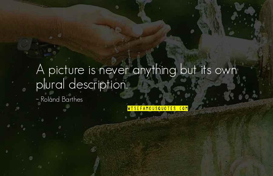 Description Quotes By Roland Barthes: A picture is never anything but its own