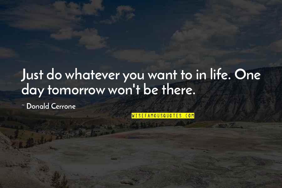 Descubrimientos Quotes By Donald Cerrone: Just do whatever you want to in life.