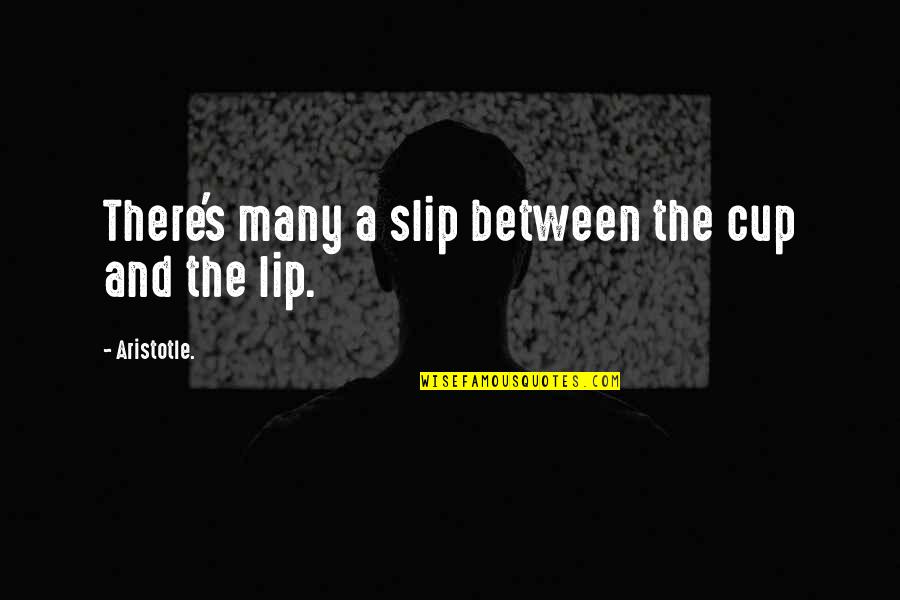 Desearas 2017 Quotes By Aristotle.: There's many a slip between the cup and Desearas 2017 Quotes By Aristotle.: There's many a slip between the cup and