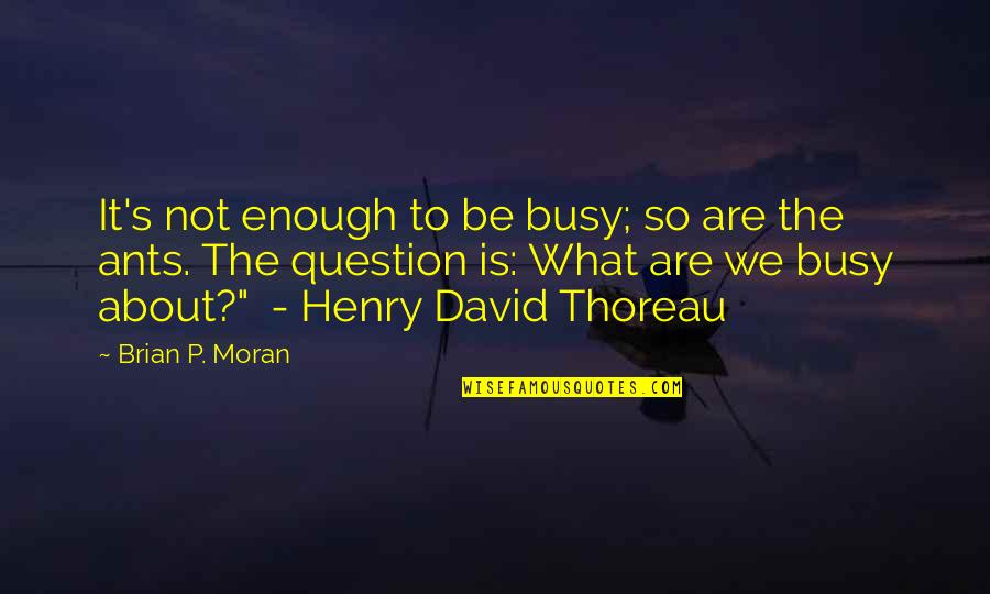 Desecrated Quotes By Brian P. Moran: It's not enough to be busy; so are Desecrated Quotes By Brian P. Moran: It's not enough to be busy; so are