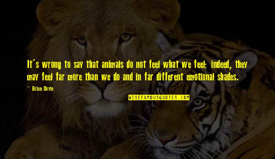 Desencadenamiento Quotes By Brian Doyle: It's wrong to say that animals do not Desencadenamiento Quotes By Brian Doyle: It's wrong to say that animals do not
