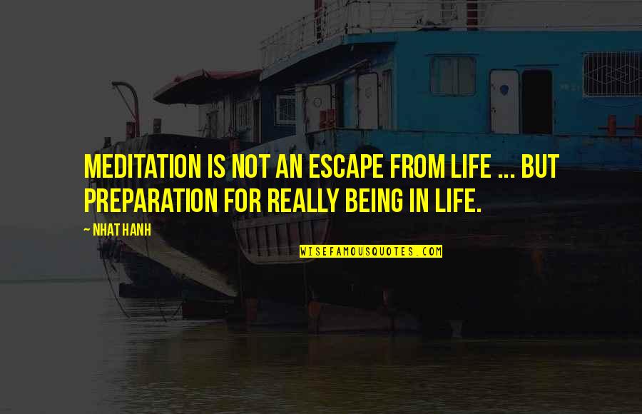 Desenhado Todoroki Quotes By Nhat Hanh: Meditation is not an escape from life ...