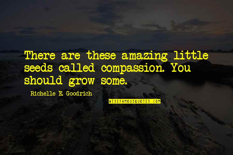 Desenhista Em Quotes By Richelle E. Goodrich: There are these amazing little seeds called compassion.