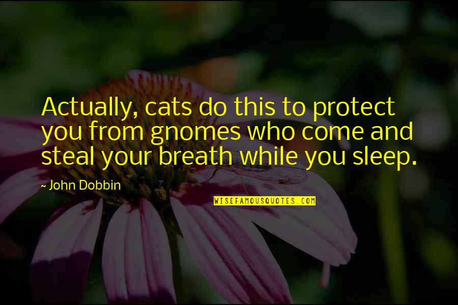 Deseori Observi Quotes By John Dobbin: Actually, cats do this to protect you from