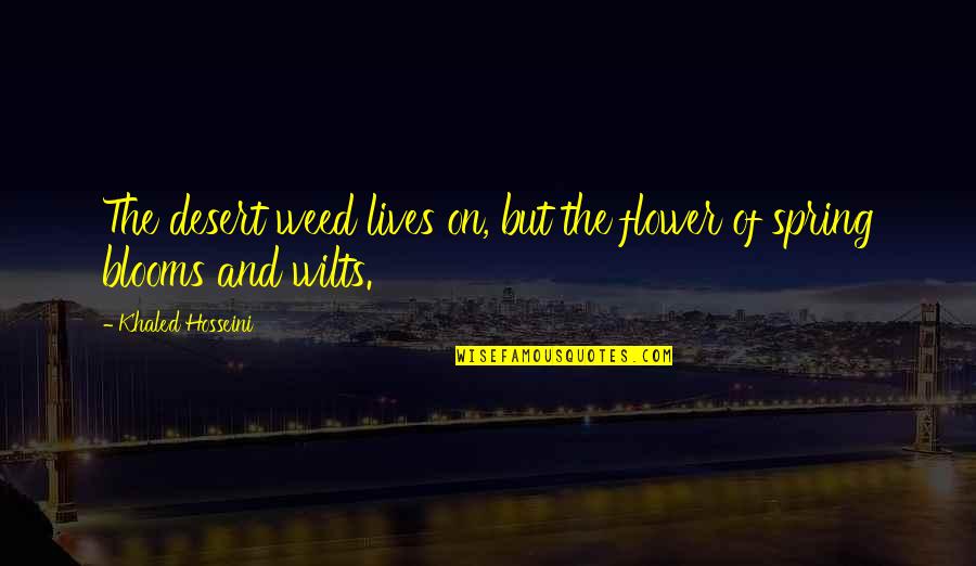 Desert Flower Quotes By Khaled Hosseini: The desert weed lives on, but the flower