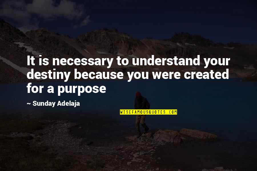 Desert Islands Quotes By Sunday Adelaja: It is necessary to understand your destiny because