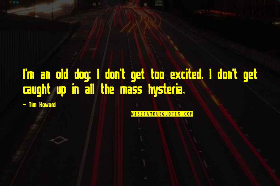 Desert Islands Quotes By Tim Howard: I'm an old dog; I don't get too