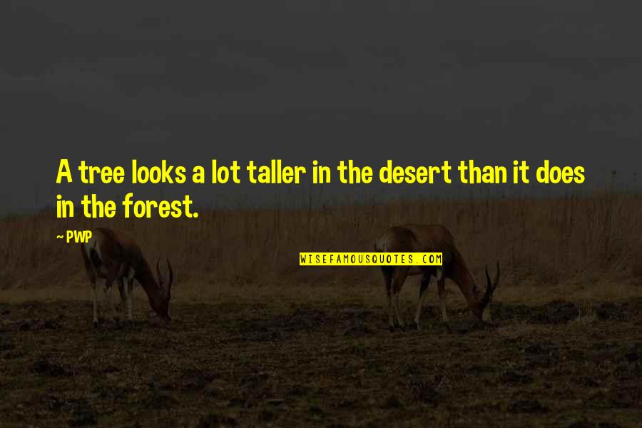 Desert Quotes By PWP: A tree looks a lot taller in the