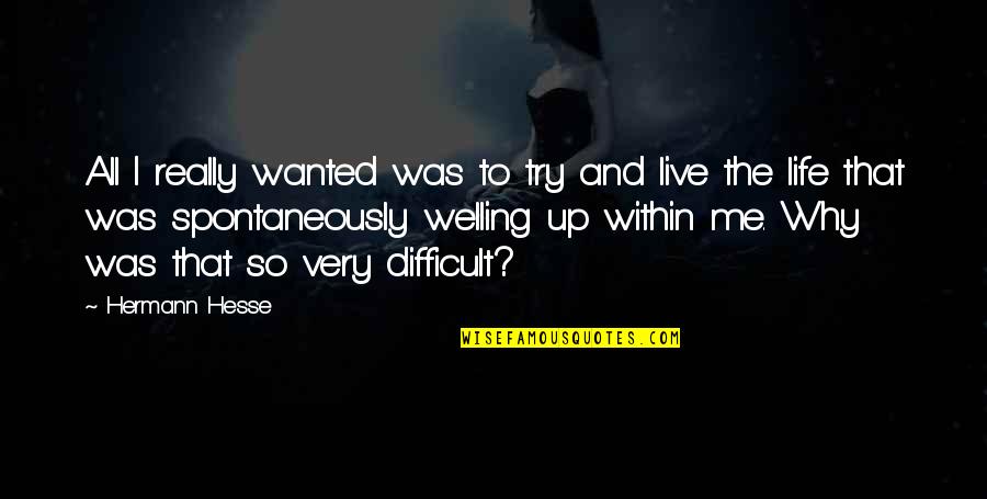 Desertico Quente Quotes By Hermann Hesse: All I really wanted was to try and