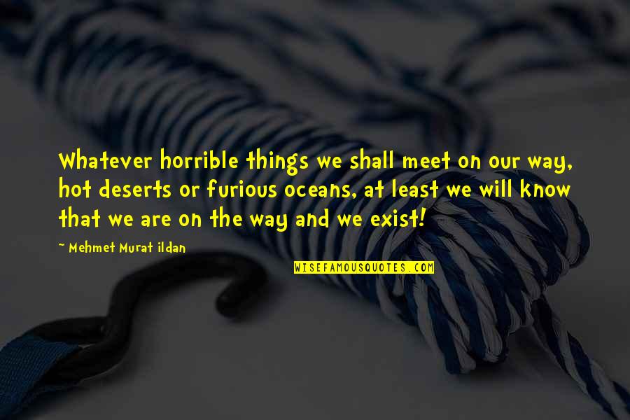 Deserts Quotes By Mehmet Murat Ildan: Whatever horrible things we shall meet on our