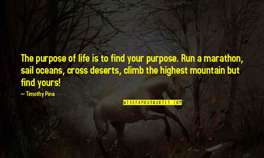 Deserts Quotes By Timothy Pina: The purpose of life is to find your