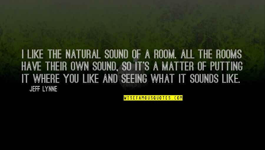 Desespoir Du Quotes By Jeff Lynne: I like the natural sound of a room. Desespoir Du Quotes By Jeff Lynne: I like the natural sound of a room.