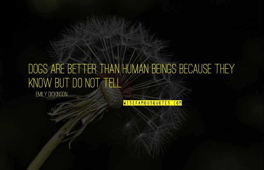 Desfile Quotes By Emily Dickinson: Dogs are better than human beings because they Desfile Quotes By Emily Dickinson: Dogs are better than human beings because they