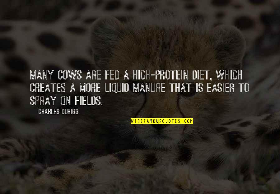Desgraciada In English Quotes By Charles Duhigg: Many cows are fed a high-protein diet, which
