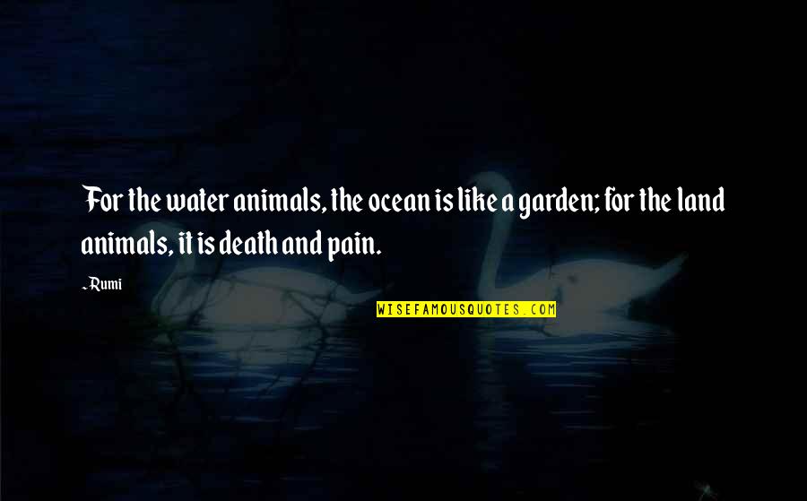 Desh Premi Quotes By Rumi: For the water animals, the ocean is like