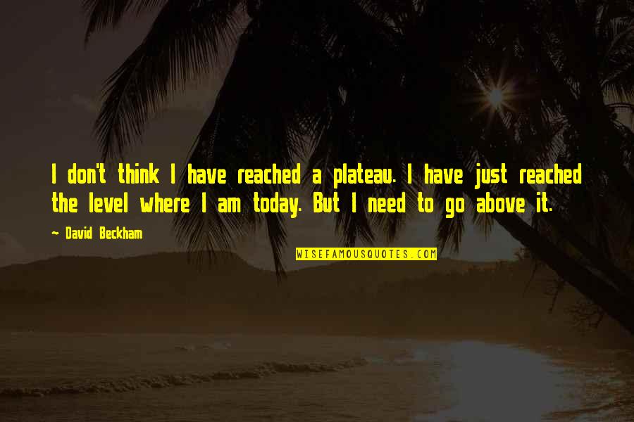 Deshecho De Insecto Quotes By David Beckham: I don't think I have reached a plateau. Deshecho De Insecto Quotes By David Beckham: I don't think I have reached a plateau.