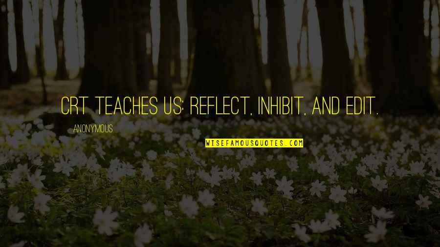 Deshell Sunflower Quotes By Anonymous: CRT teaches us: reflect, inhibit, and edit.