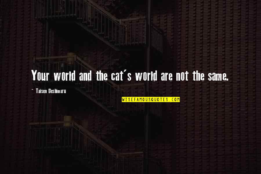 Deshimaru Quotes By Taisen Deshimaru: Your world and the cat's world are not