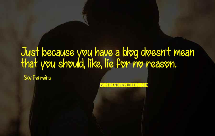 Desiderio Alberto Quotes By Sky Ferreira: Just because you have a blog doesn't mean