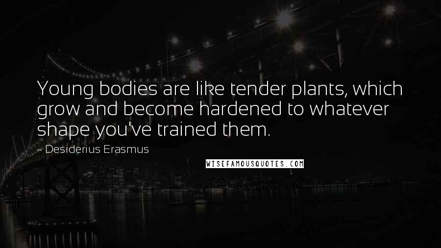 Desiderius Erasmus quotes: Young bodies are like tender plants, which grow and become hardened to whatever shape you've trained them.