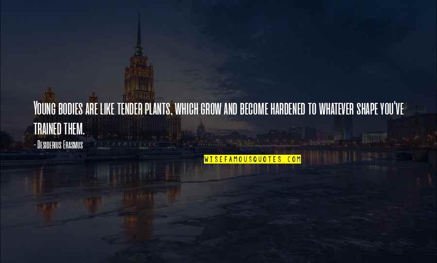 Desiderius Quotes By Desiderius Erasmus: Young bodies are like tender plants, which grow