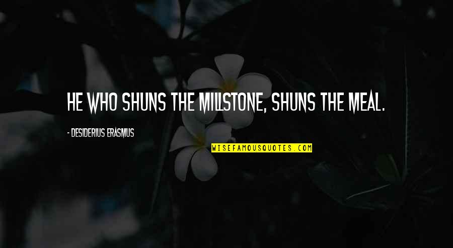 Desiderius Quotes By Desiderius Erasmus: He who shuns the millstone, shuns the meal. Desiderius Quotes By Desiderius Erasmus: He who shuns the millstone, shuns the meal.