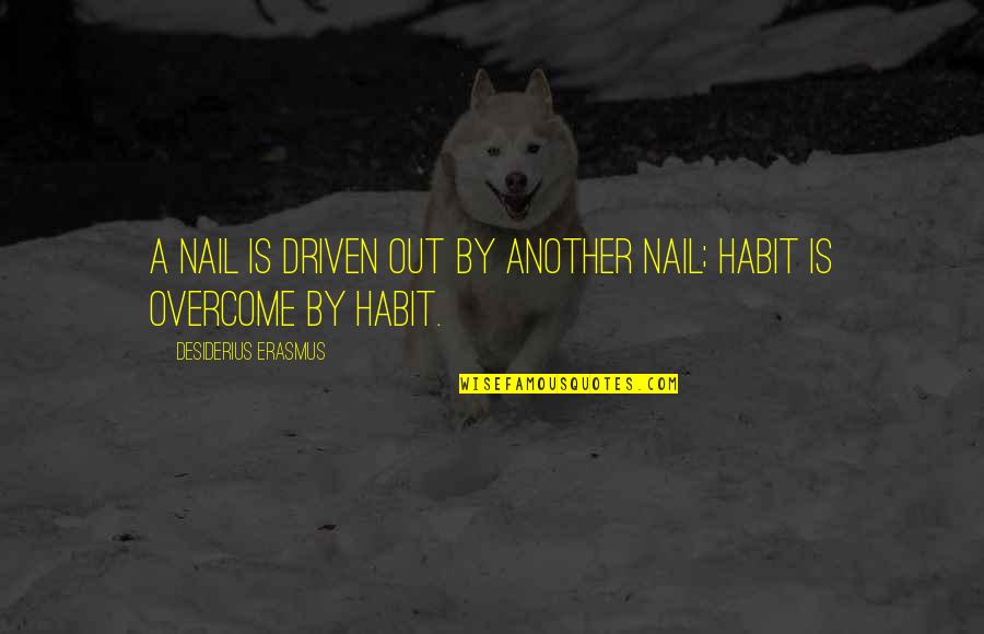 Desiderius Quotes By Desiderius Erasmus: A nail is driven out by another nail; Desiderius Quotes By Desiderius Erasmus: A nail is driven out by another nail;