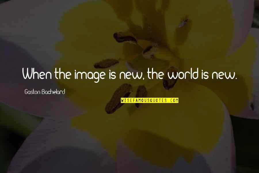 Design Is Quotes By Gaston Bachelard: When the image is new, the world is