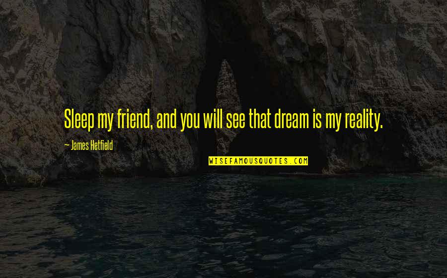 Designatorium Quotes By James Hetfield: Sleep my friend, and you will see that
