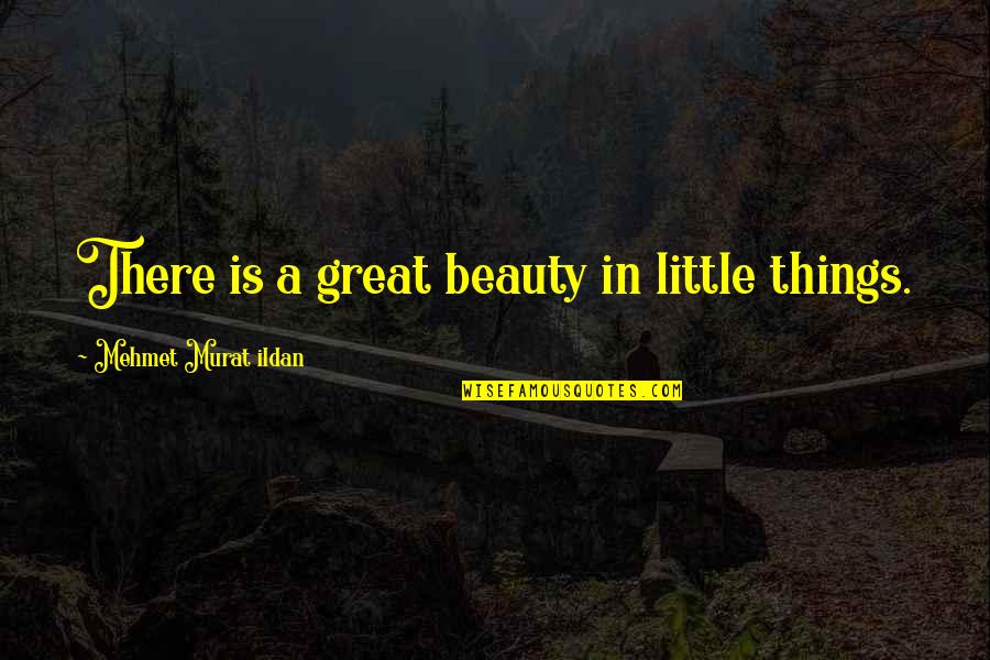 Desirables Quotes By Mehmet Murat Ildan: There is a great beauty in little things.