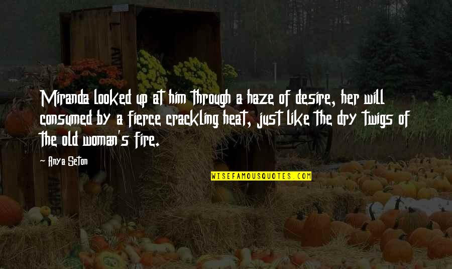 Desire And Lust Quotes By Anya Seton: Miranda looked up at him through a haze Desire And Lust Quotes By Anya Seton: Miranda looked up at him through a haze