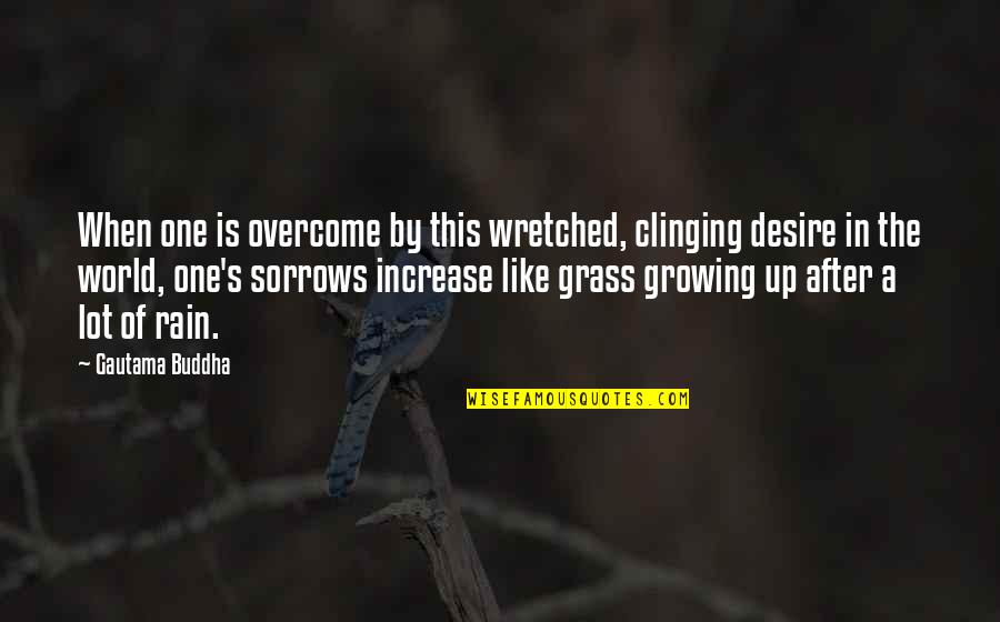 Desire Buddha Quotes By Gautama Buddha: When one is overcome by this wretched, clinging