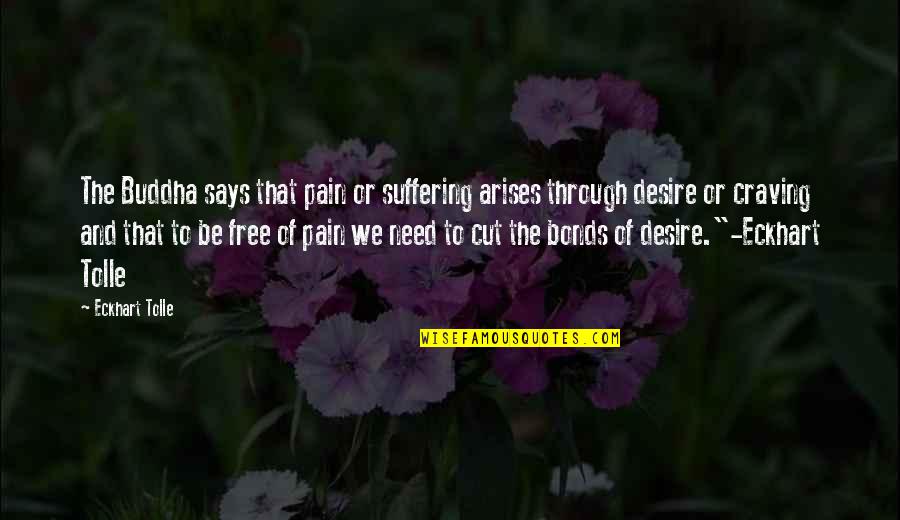 Desire Is Suffering Quotes By Eckhart Tolle: The Buddha says that pain or suffering arises