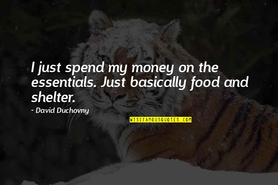 Desire To Escape Quotes By David Duchovny: I just spend my money on the essentials.