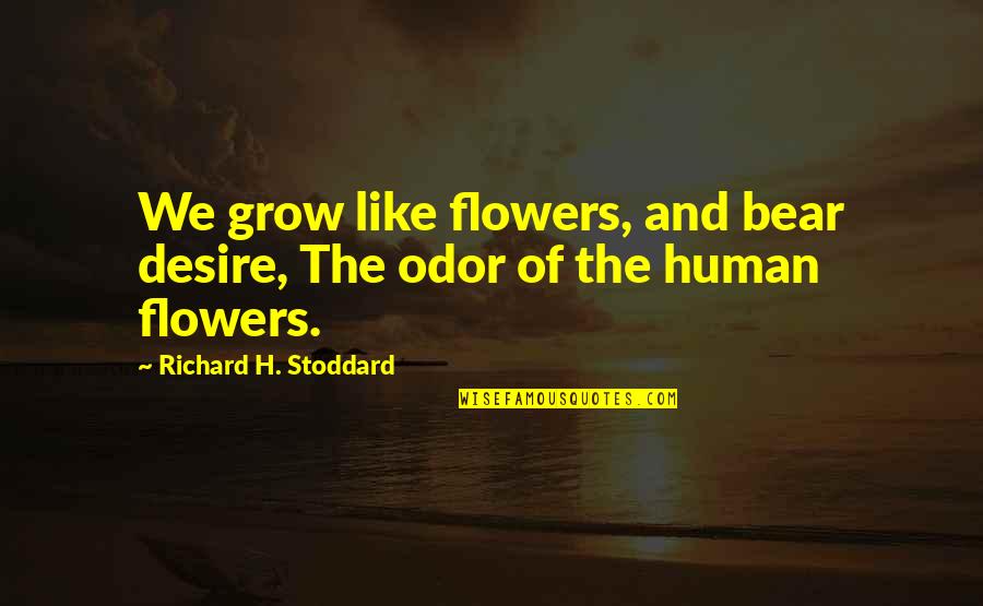 Desire To Grow Quotes By Richard H. Stoddard: We grow like flowers, and bear desire, The