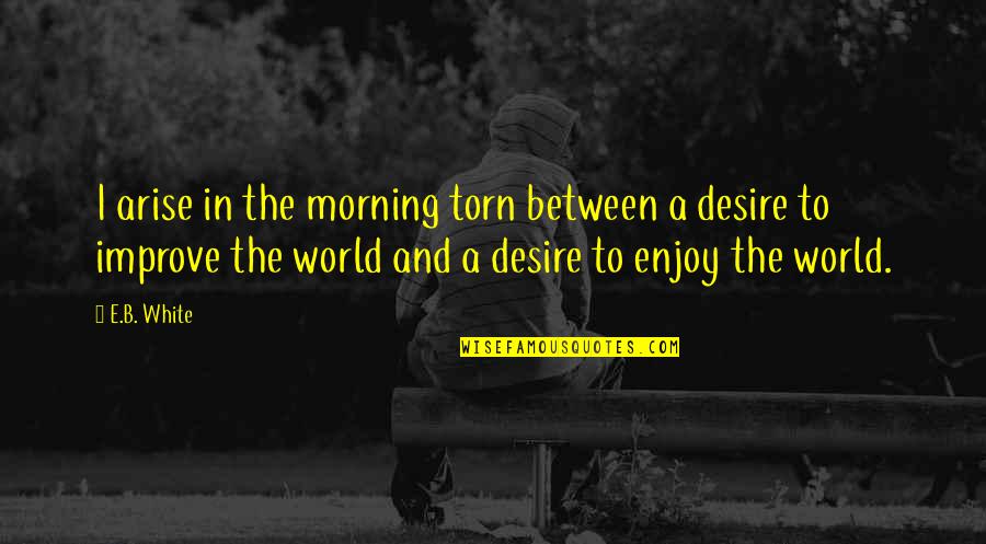 Desire To Improve Quotes By E.B. White: I arise in the morning torn between a