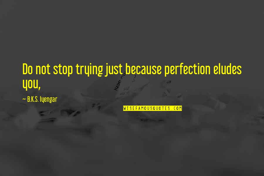 Desiree Dupree Quotes By B.K.S. Iyengar: Do not stop trying just because perfection eludes