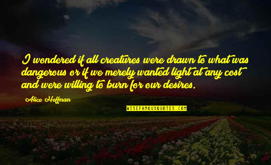 Desires We Quotes By Alice Hoffman: I wondered if all creatures were drawn to