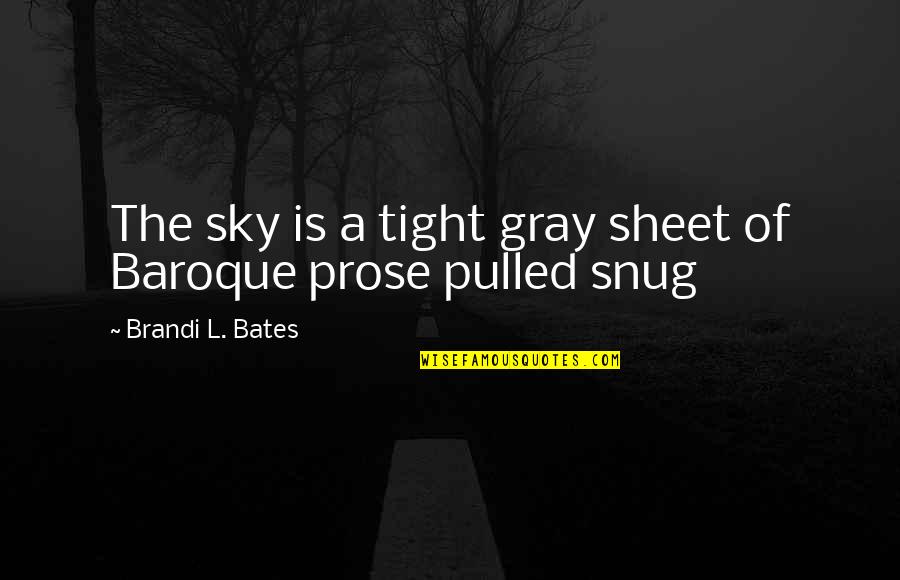 Desiron Quotes By Brandi L. Bates: The sky is a tight gray sheet of