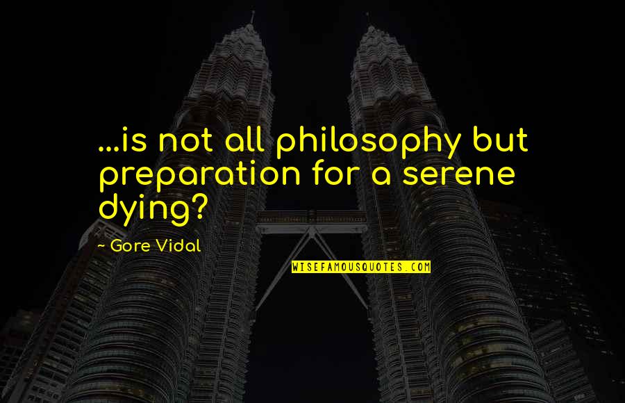 Desisting And Persisting Quotes By Gore Vidal: ...is not all philosophy but preparation for a