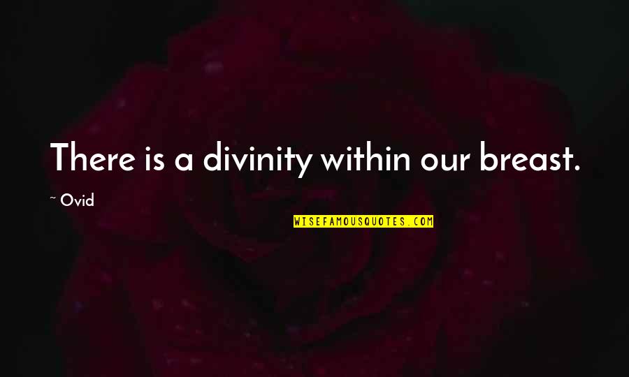 Desisto Mansion Quotes By Ovid: There is a divinity within our breast.
