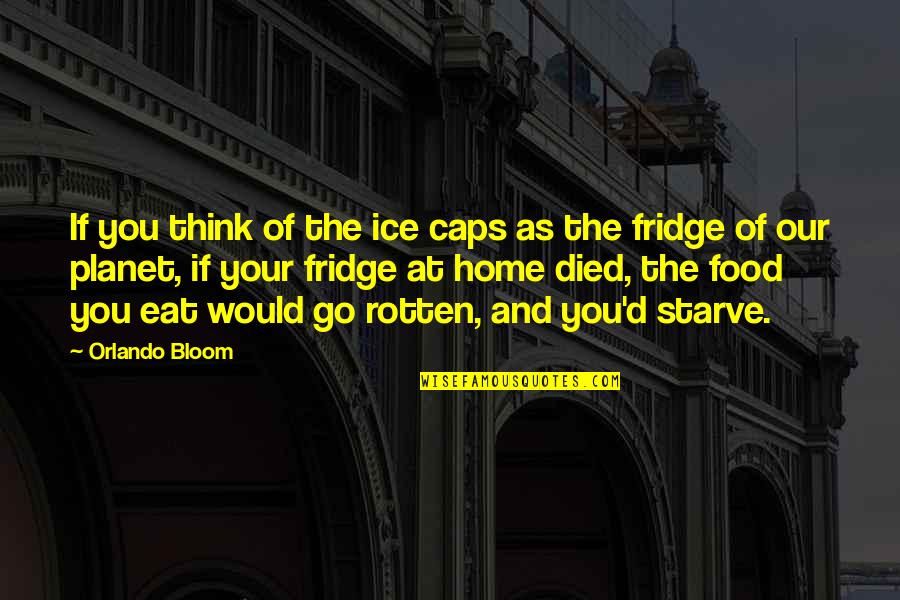 Desjardin Get A Quote Quotes By Orlando Bloom: If you think of the ice caps as