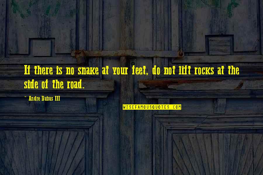 Desktop Background Bible Quotes By Andre Dubus III: If there is no snake at your feet,