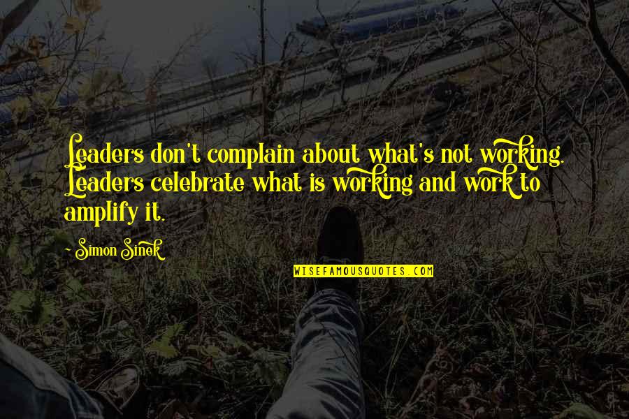 Desktop Central Quotes By Simon Sinek: Leaders don't complain about what's not working. Leaders